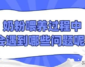 真香！螢幕大過特斯拉、小鵬的比亞迪驅逐艦05完全導購