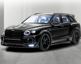 科學家發現最早的&OpenCurlyDoubleQuote;花骨朵&rdquo;化石