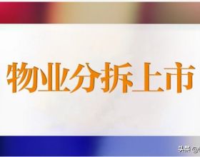 2021年被嚴重低估的4款手機，起步就是次旗艦，適合現在撿漏