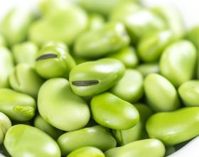 研究結果顯示單晶矽的應變達到了創紀錄的水平