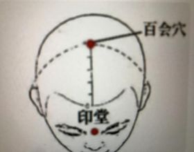 研究揭示煙粉蝨高效傳毒的免疫穩態調控機制