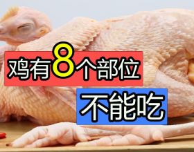 雞有8個地方毒素最重，不要亂吃，24年1級廚師講解雞不能吃的位置