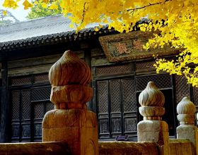 北京一“低調”古剎，寺內有遼代千年銀杏，門票20公交直達