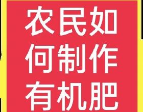 百家姓中的姓氏起源之何、呂、施、張