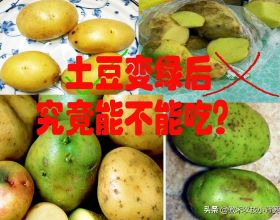 “喜瀛洲手指醫生”熱門減肥體式讓你瘦的有風度