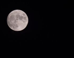 軍事史話（1）T-80獻醜第一次車臣戰爭