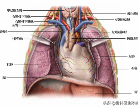 媲美思域Type R，2&period;0T爆出300馬力，Cupra Leon VZ Cup帥氣亮相