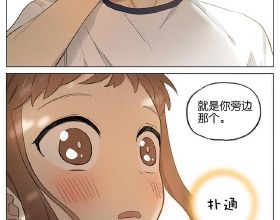 鎢鐵複合氧化物降解有毒有機物