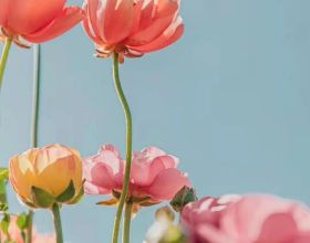 旅行廣東才明白，渤海灣，長三角，珠三角，為什麼偏偏最富大灣區
