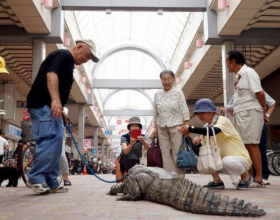 未來醫生與參天公司共同探索乾眼診療新模式