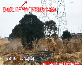 春季不養生，全年花錢找醫生，你養生了嗎？