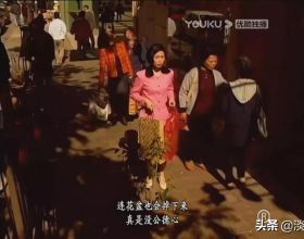 分享鳥類圖片-畫眉鳥