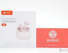 青海發現1只雪豹，零下10℃趴冰上難以行動，用了6小時才救起它