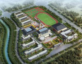 記錄蝴蝶蘭花開時刻