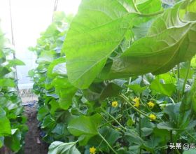 為什麼我國人均GDP接近高收入國家水平了，但是似乎感覺不明顯？