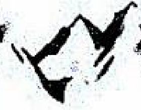 月運｜2022年2月Shakingpears搖梨塔羅十二星座運勢