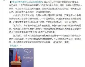 閒來無聊開發了個電商自動開票平臺，大家建議建議