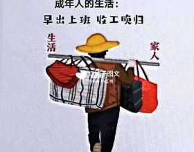 雨林科普日記之周氏瞼虎