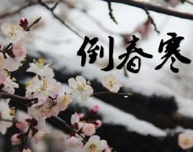 覆盤：醫療連續收紅，白酒新能源證券板塊分析！2.16