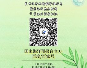 葉子像龜殼又像紐扣的蔓椒草，購買時記得喊它的商品名