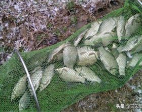 張含韻也太甜了，就算穿著復古的皮裙，但加上泡泡袖照樣嫩得很