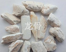 中藥古今研究：龍骨