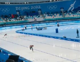 新春走基層丨買盆鮮花過大年