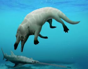 考古重大發現！埃及出土四足“死神鯨”，鯨魚演化有多傳奇？