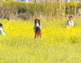 《王者榮耀》如何玩好趙雲？答案在這裡