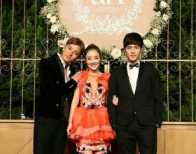 景天科、厚葉草屬常見多肉植物有哪些？