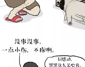 舍小我，助隊友，這正是奧運會精神