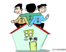 劉二狗前妻劉劉語音直播爆料：是辛巴讓她去二驢那裡漲粉的