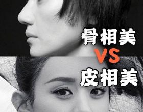 迷你版的黑天鵝——白骨頂雞