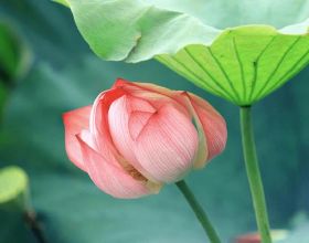 &ZeroWidthSpace;768公里！世界最長閃電紀錄重新整理