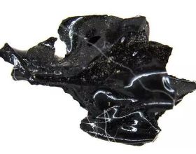 龐貝挖出“水晶大腦”，考古學家：羅馬人在520度的高溫下的玻璃
