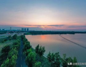 有一種可以打贏的仗，為何抗聯選擇了放棄？