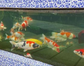 皇馬巴黎第四次在歐戰淘汰賽碰面，皇馬前兩次遭淘汰最近一次晉級