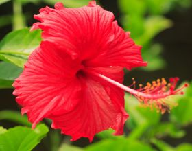 哈登加入76人，訓練影片流出了