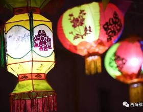 王鷗早期電視劇作品