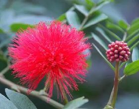 《機動奧特曼2》宣傳片曝光，光太郎談戀愛了，主角就是泰羅