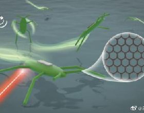 仿水黽微型機器人研究取得新進展