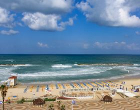 三翼鳥與居然之家2021共贏：零售69&percnt;高增