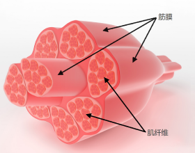 旅遊業需求旺盛 但行業可能還沒有為重回繁榮做好準備