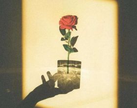 最新成果丨齊慶新研究員：煤巖彈性變形能的表徵物理模型及實測方法