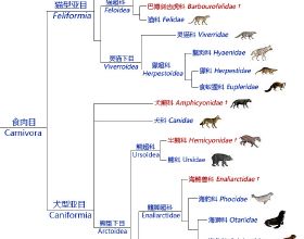 世界經濟論壇報告提示2022年全球主要風險