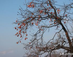 紅色血脈——黨史軍史上的今天｜1月7日 中共中央發出《關於建立報告制度》的指示