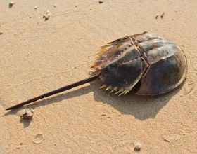 女性全套塑形訓練計劃，拿走不謝