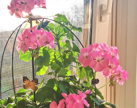 眼視光學和眼視光醫學一樣嗎？有什麼區別？哪個好？&lpar;22屆參考&rpar;