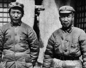 網路中國節•春節丨虎年只有355天！關於虎年，這些知識點你都瞭解嗎？