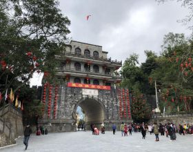 超治癒的溫暖陽光房